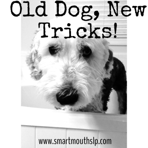 old dog new tricks
